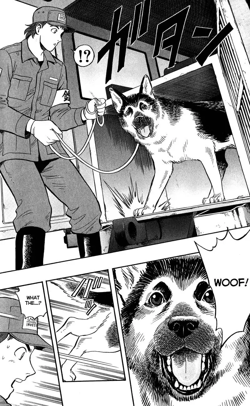 Animal Sense Chapter 8 27